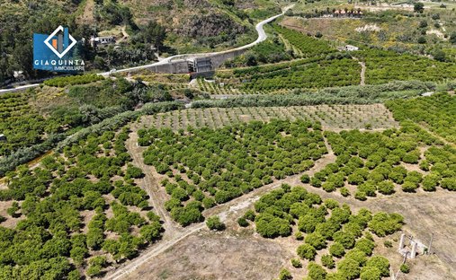 Land in Palagonia, Sicily, Italy 1