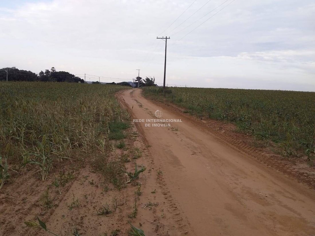 Farm Ranch in Rio de Janeiro, State of Rio de Janeiro, Brazil 1 - 16177816