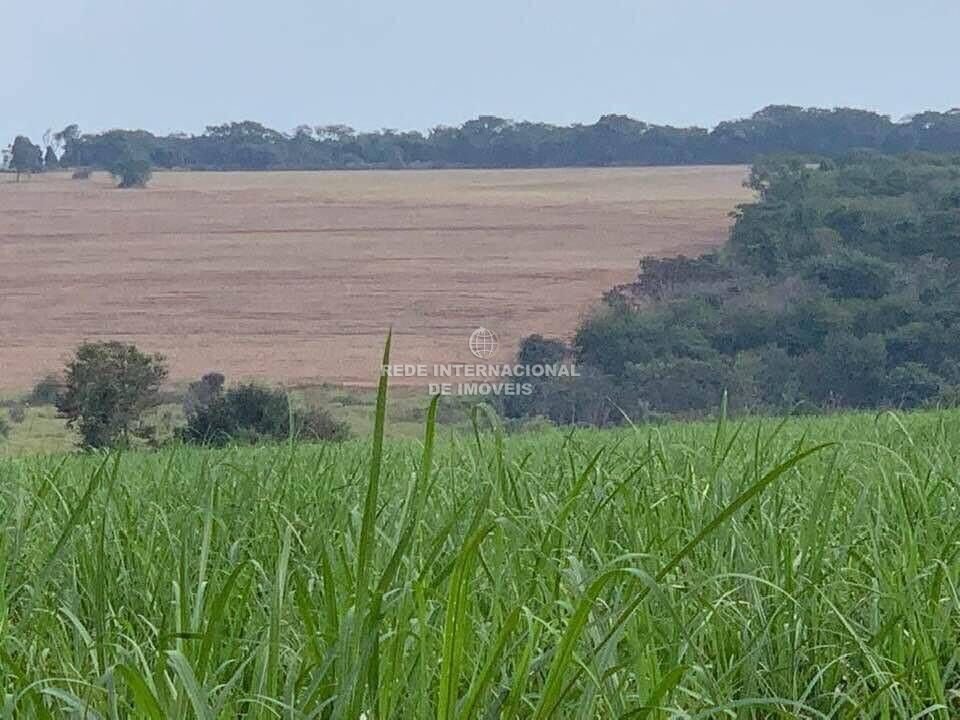 Farm Ranch in Estiva Gerbi, State of São Paulo, Brazil 1 - 16177733