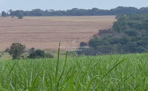 Farm Ranch in Estiva Gerbi, State of São Paulo, Brazil 1