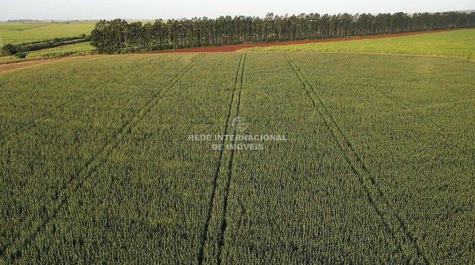 Farm Ranch in Rio de Janeiro, State of Rio de Janeiro, Brazil 1 - 16178493