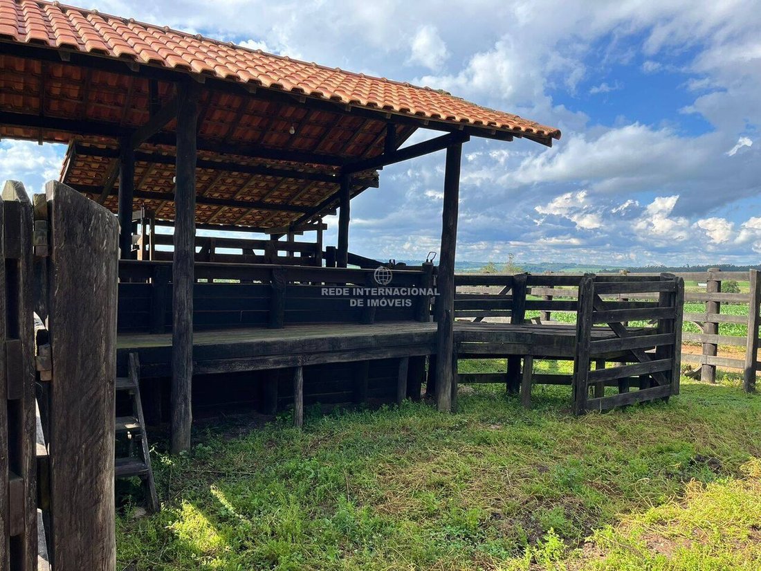 Farm Ranch in Ronco, State of Paraná, Brazil 5 - 16178506