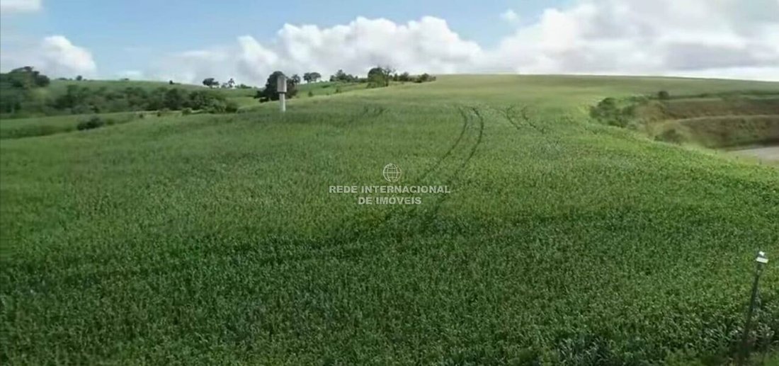 Farm Ranch in Rio de Janeiro, State of Rio de Janeiro, Brazil 2 - 16178409
