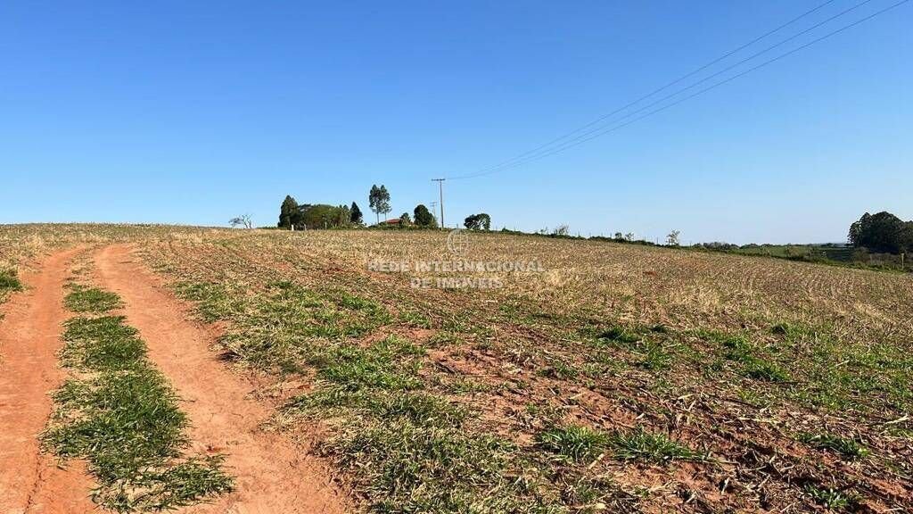 Farm Ranch in Rio de Janeiro, State of Rio de Janeiro, Brazil 5 - 16178477