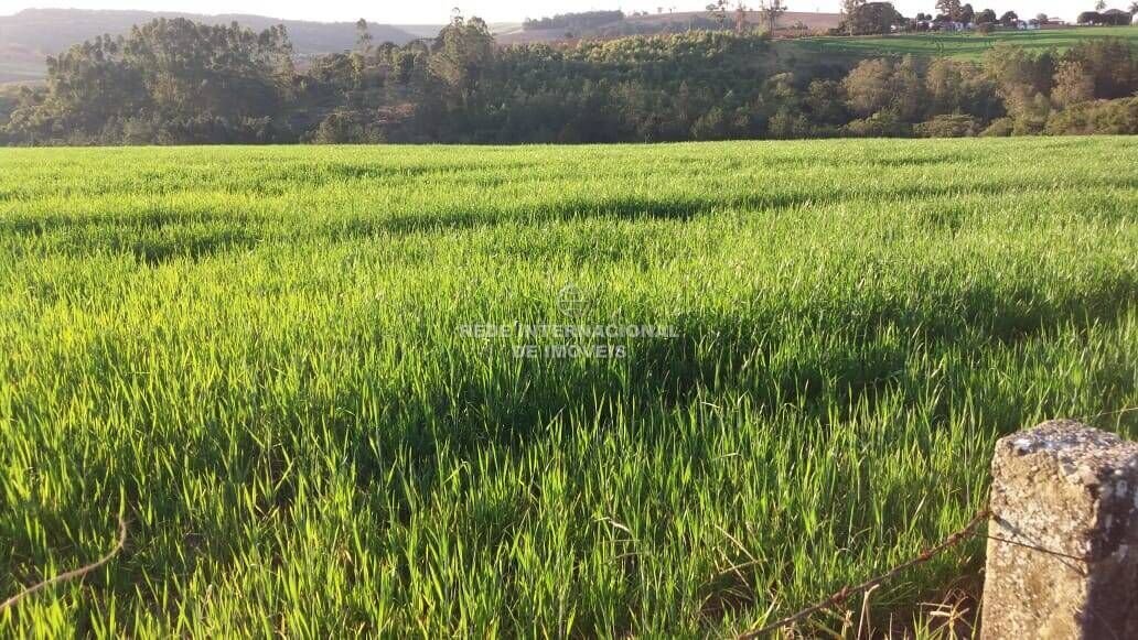 Farm Ranch in Itapetininga, State of São Paulo, Brazil 4 - 16178496