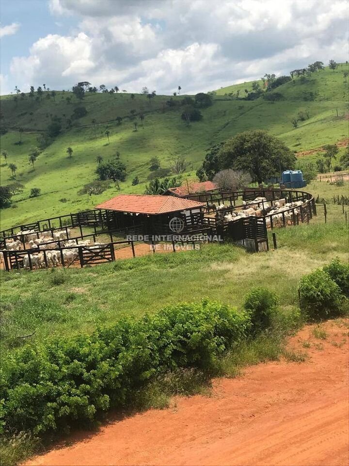 Farm Ranch in Rio de Janeiro, State of Rio de Janeiro, Brazil 2 - 16178446