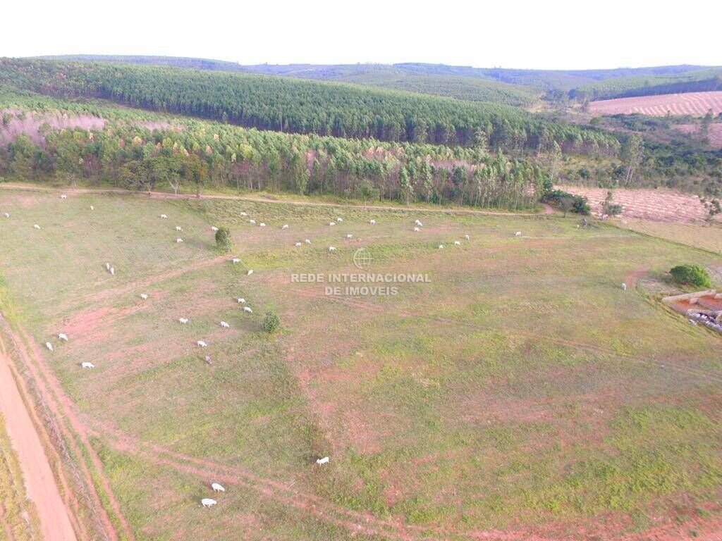 Farm Ranch in São José do Rio Preto, State of São Paulo, Brazil 4 - 16177839