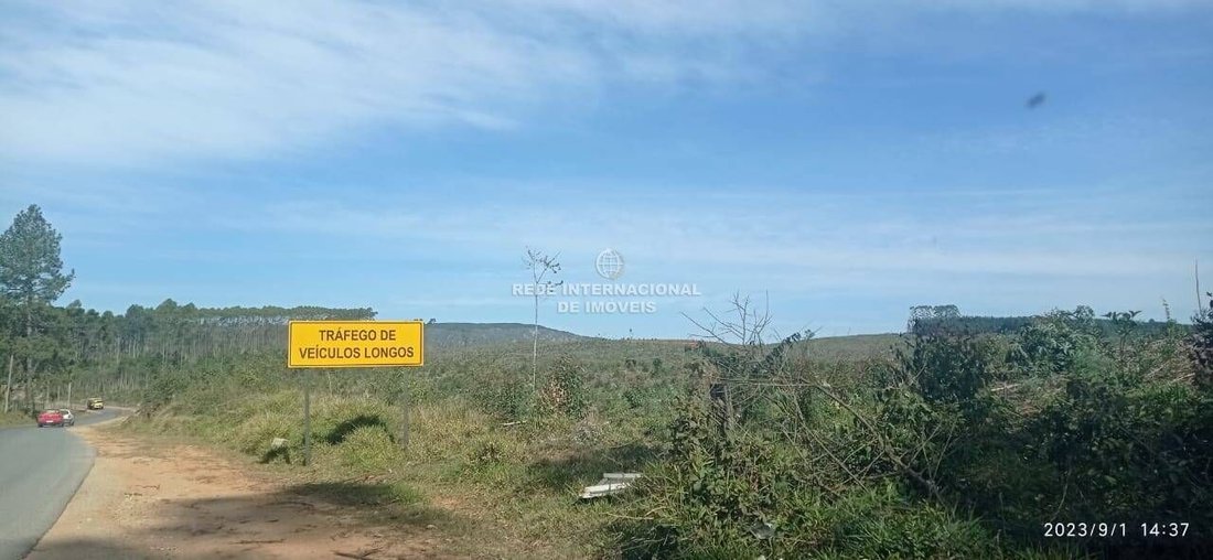 Farm Ranch in Rio de Janeiro, State of Rio de Janeiro, Brazil 2 - 16178447