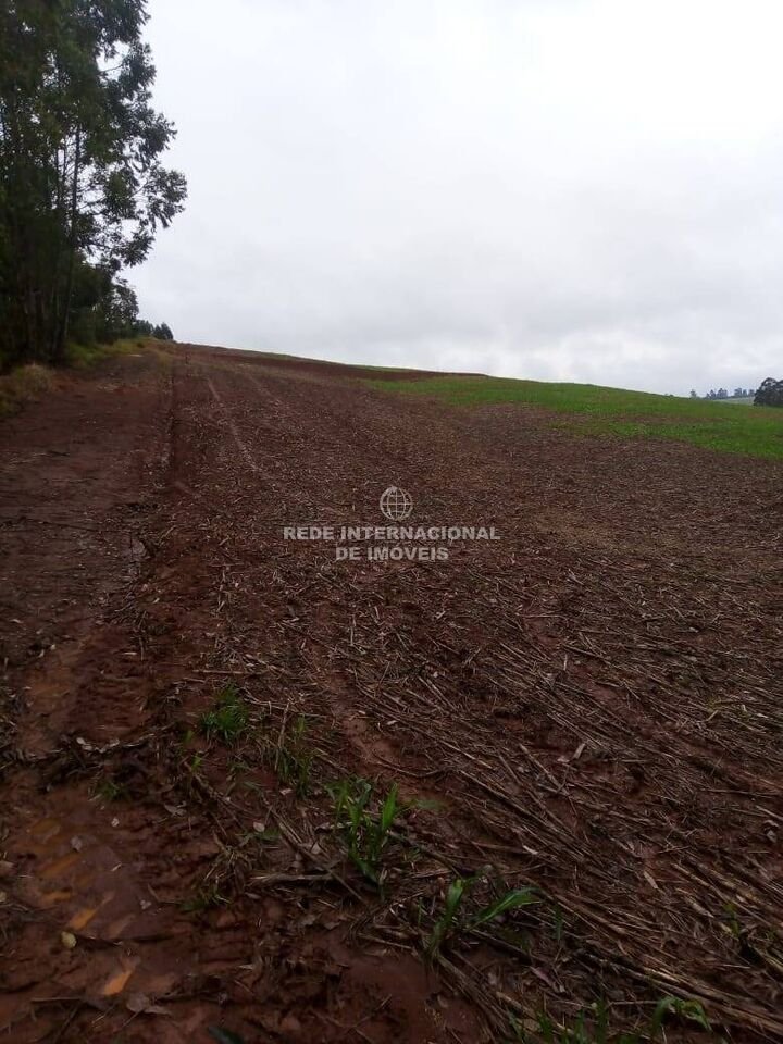 Farm Ranch in Itapeva, State of São Paulo, Brazil 4 - 16178516
