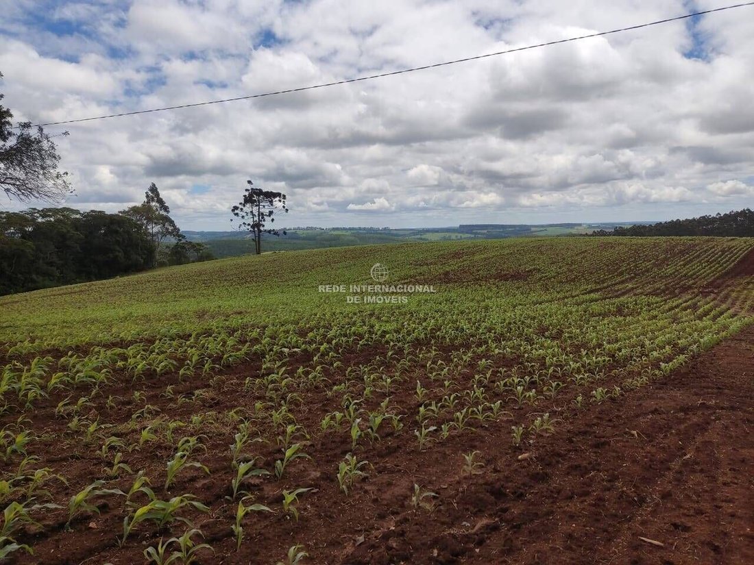 Corps de ferme à Capão Bonito, São Paulo, Brésil 4 - 16177720