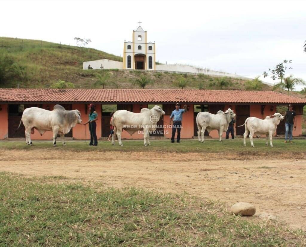 Farm Ranch in Parque Alberto Bayington, State of São Paulo, Brazil 5 - 16178473