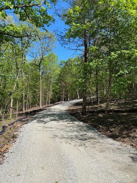 Terrain à Shell Knob, Missouri, États-Unis 4 - 16114928