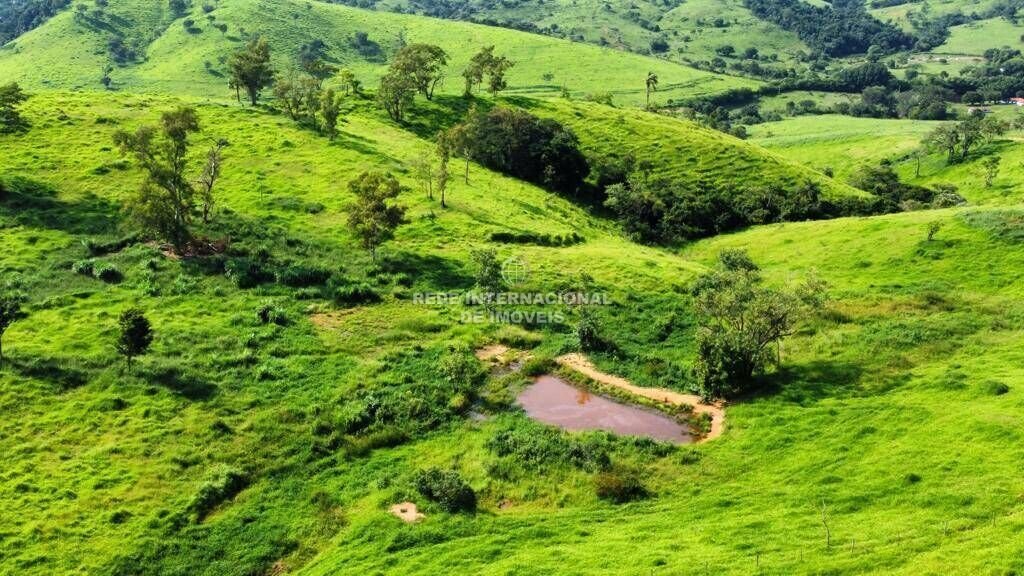 Farm Ranch in Rio de Janeiro, State of Rio de Janeiro, Brazil 4 - 16178446