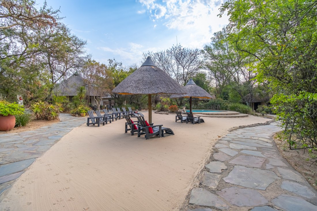 Northern Farm, Gauteng, South Africa 3 - 16171492