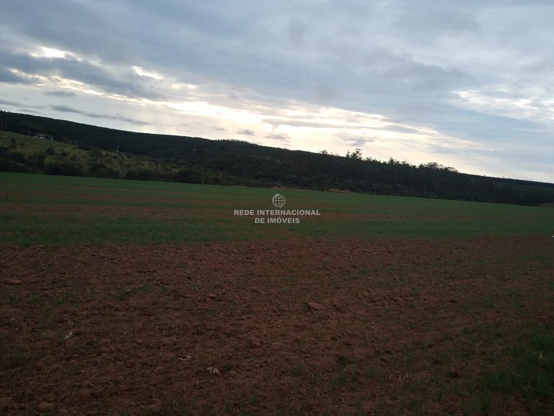 Farm Ranch in Itapetininga, State of São Paulo, Brazil 5 - 16169826