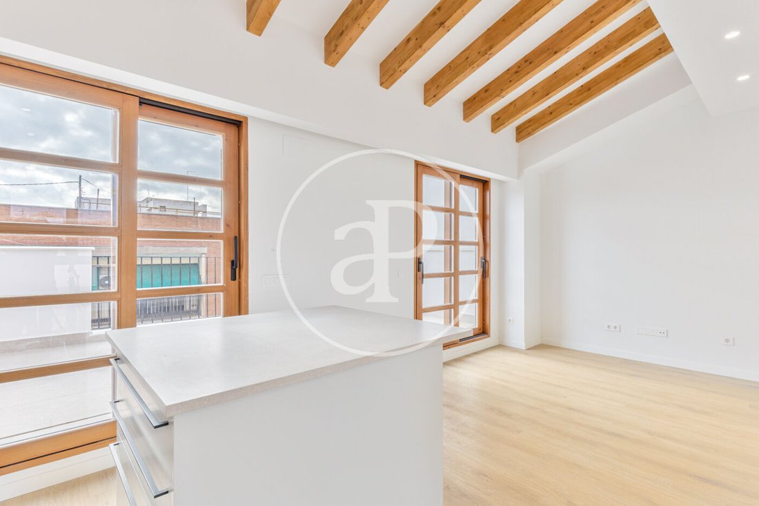 Penthouse in Ciutat Vella, Valencia, Spain 4 - 16174739