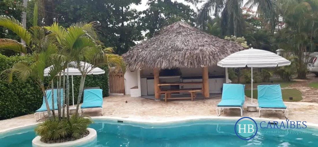 Villa in Las Terrenas, Samaná Province, Dominican Republic 3 - 16178234