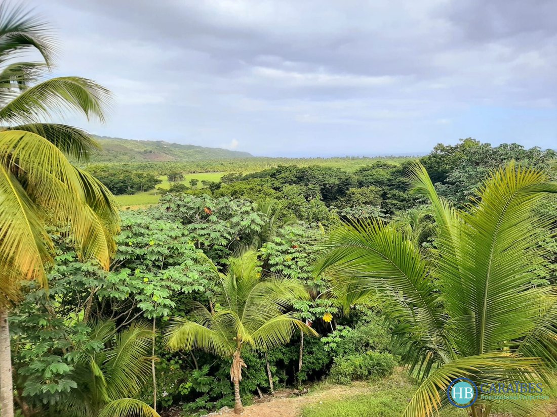 Apartment in Las Terrenas, Samaná Province, Dominican Republic 2 - 16178333