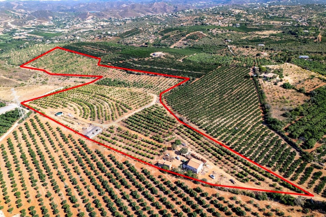 Land in Silves, Algarve, Portugal 2 - 16168693