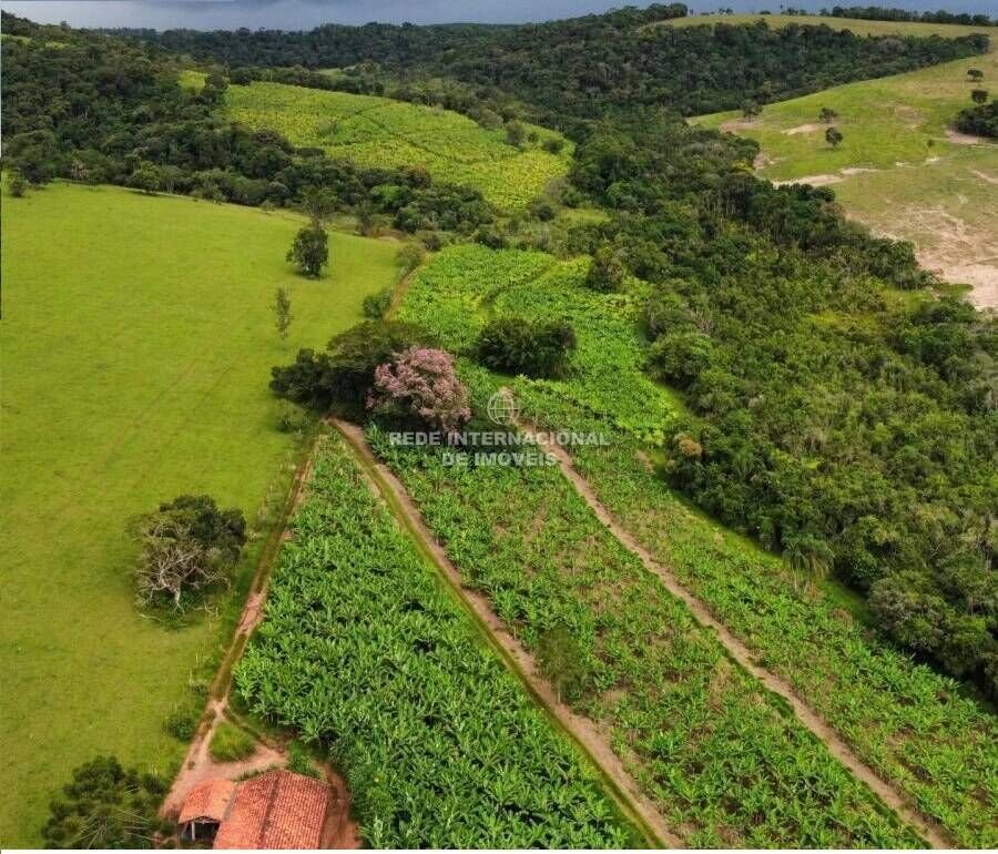 Farm Ranch in Rio de Janeiro, State of Rio de Janeiro, Brazil 1 - 16169420