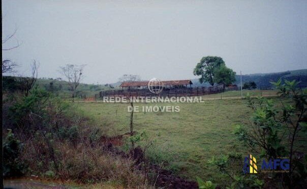 Farm Ranch in Piraju, State of São Paulo, Brazil 4 - 16169128