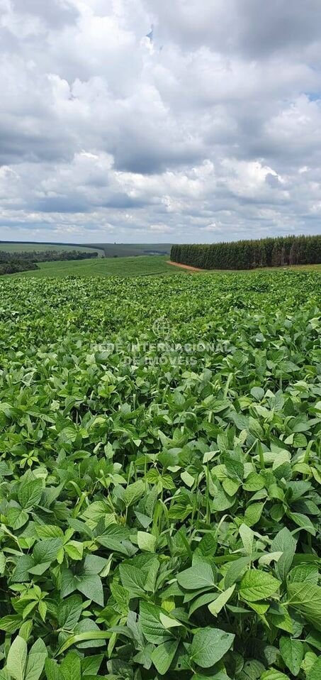 Farm Ranch in Rio de Janeiro, State of Rio de Janeiro, Brazil 1 - 16170098
