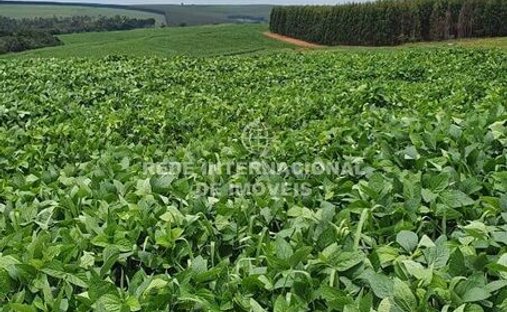 Farm Ranch in Rio de Janeiro, Rio de Janeiro, Brasilien 1