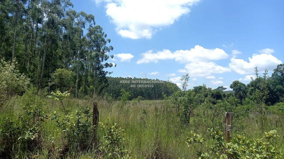 Farm Ranch in Bairro Rural, Brazil 3 - 16170307