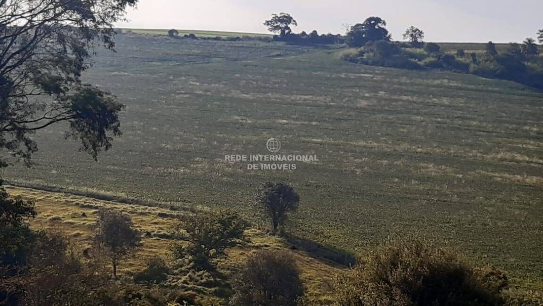 Farm Ranch in Arandu, State of São Paulo, Brazil 1 - 16169654