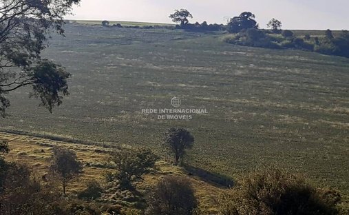 Farm Ranch in Arandu, State of São Paulo, Brazil 1