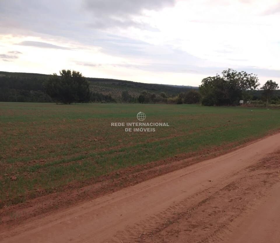 Farm Ranch in Itapetininga, State of São Paulo, Brazil 1 - 16169826