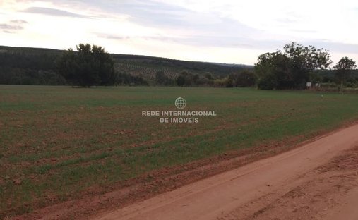 Farm Ranch in Itapetininga, State of São Paulo, Brazil 1