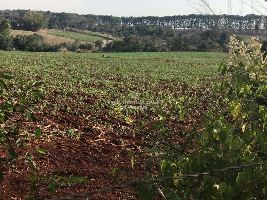 Land in Araçoiaba da Serra, State of São Paulo, Brazil 1 - 16170167