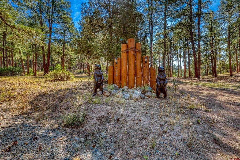 House in Pagosa Springs, Colorado, United States 4 - 16177072