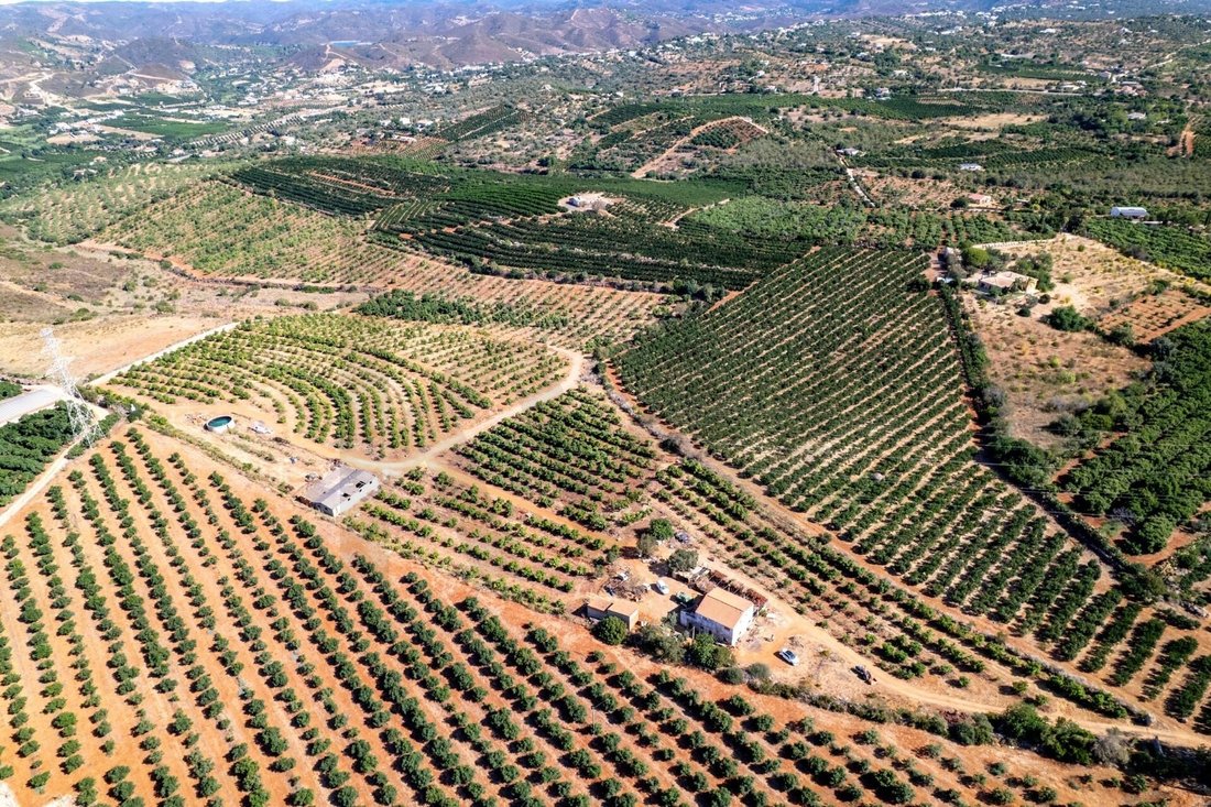 Land in Silves, Algarve, Portugal 5 - 16168693