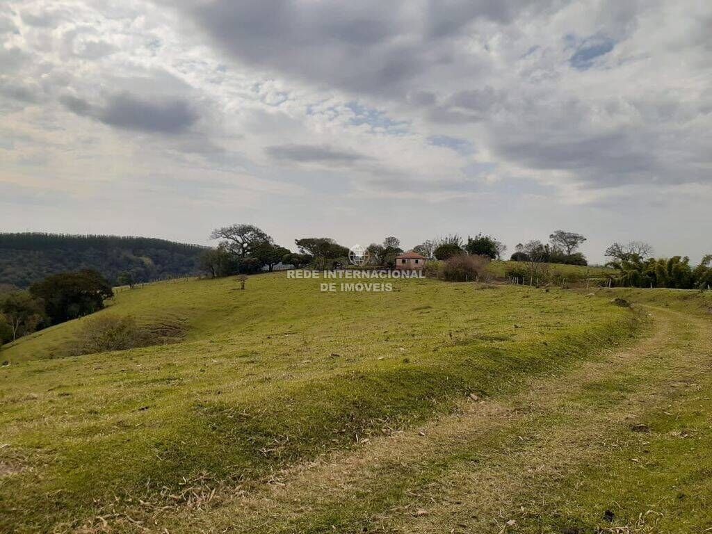 Farm Ranch in Ronco, State of Paraná, Brazil 3 - 16170107