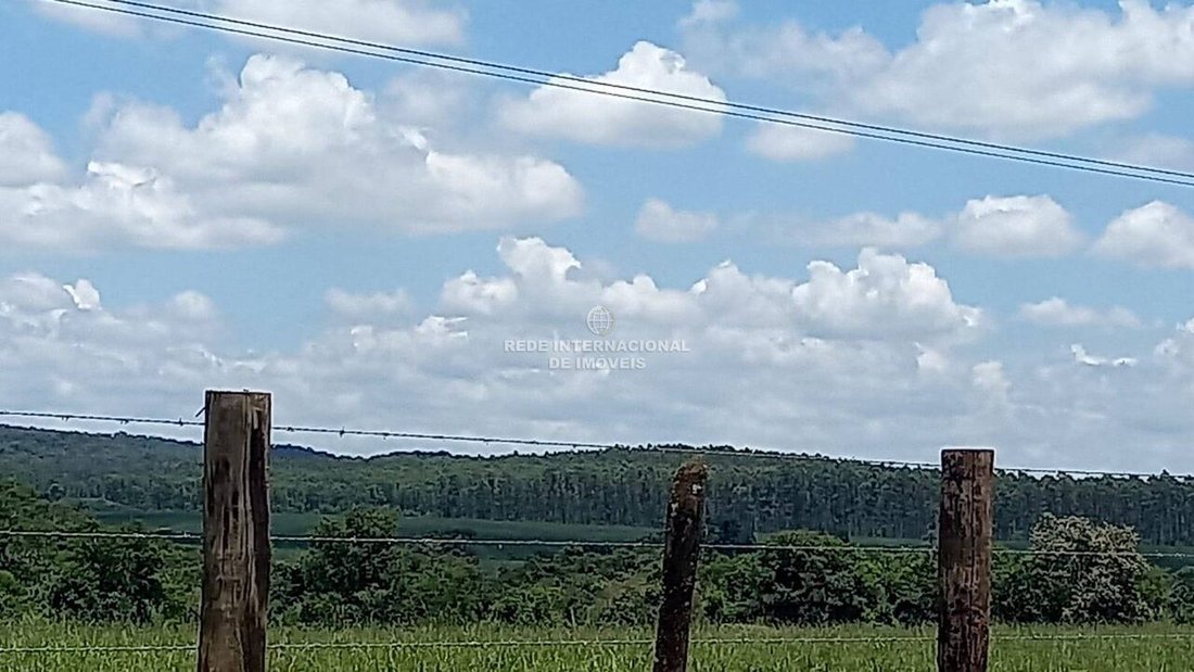 Farm Ranch in Bairro Rural, Brazil 4 - 16170307