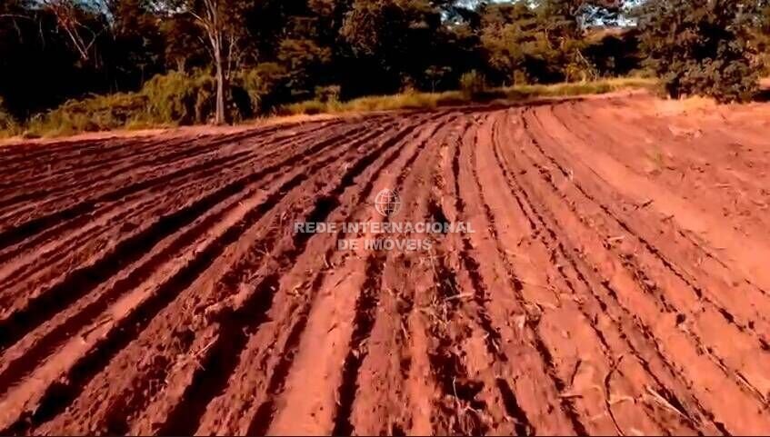 Farm Ranch in Rio de Janeiro, State of Rio de Janeiro, Brazil 5 - 16170118