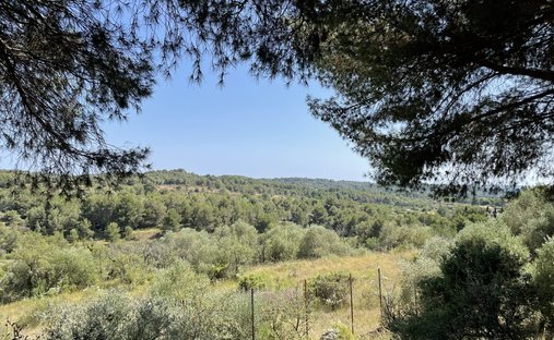 Château Avec Vignoble