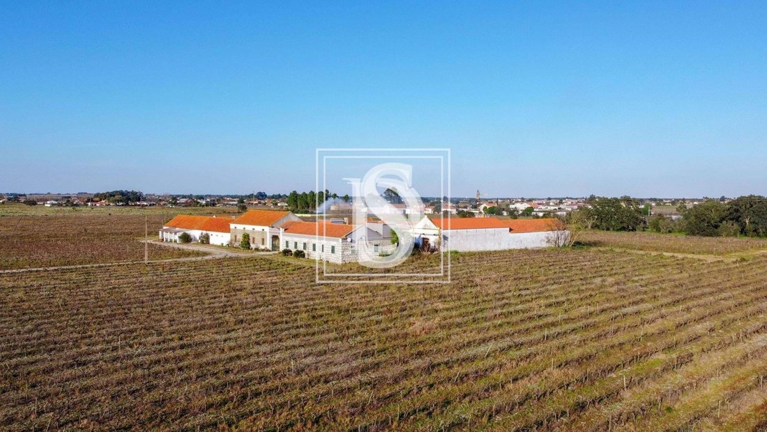 Farm Ranch in Poceirao e Marateca, Setubal, Portugal 2 - 16172149