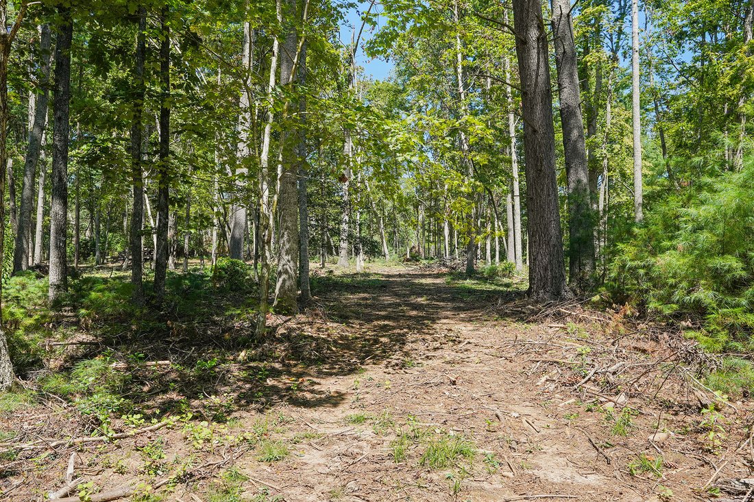 Land in Asheville, North Carolina, United States 1 - 16176584