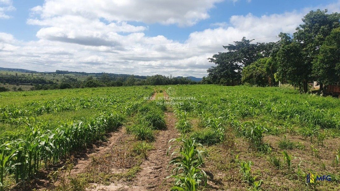 Farm Ranch in Ronco, State of Paraná, Brazil 1 - 16169117