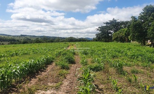Farm Ranch in Ronco, State of Paraná, Brazil 1