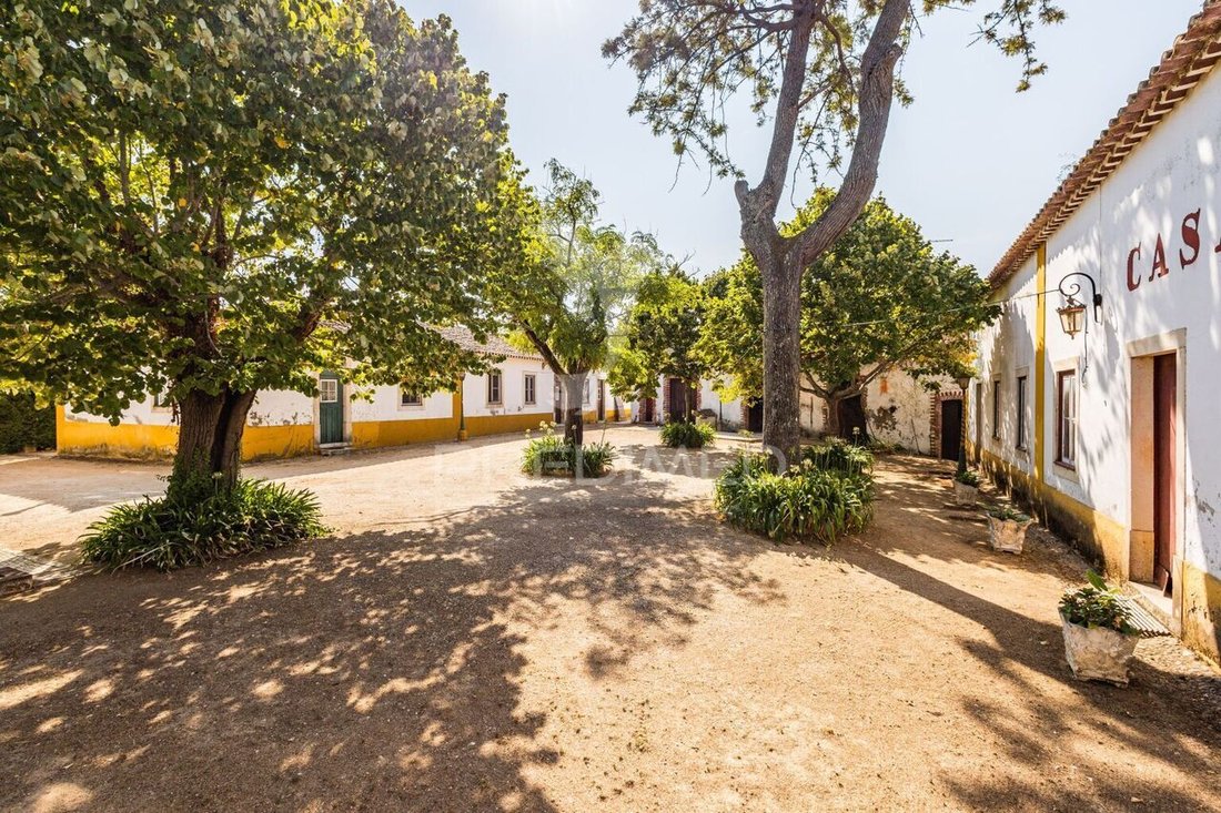Farm Ranch in Meia Via, Santarem District, Portugal 4 - 16122336