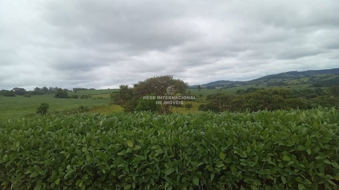 Farm Ranch in Rio de Janeiro, State of Rio de Janeiro, Brazil 4 - 16169227