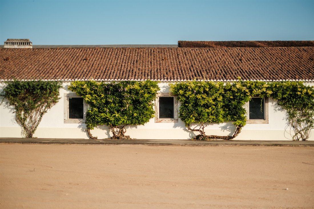 Azienda agricola a Evora (Sao Mamede, Se, Sao Pedro e Santo Antao), Distretto di Évora, Portogallo 2 - 16177238