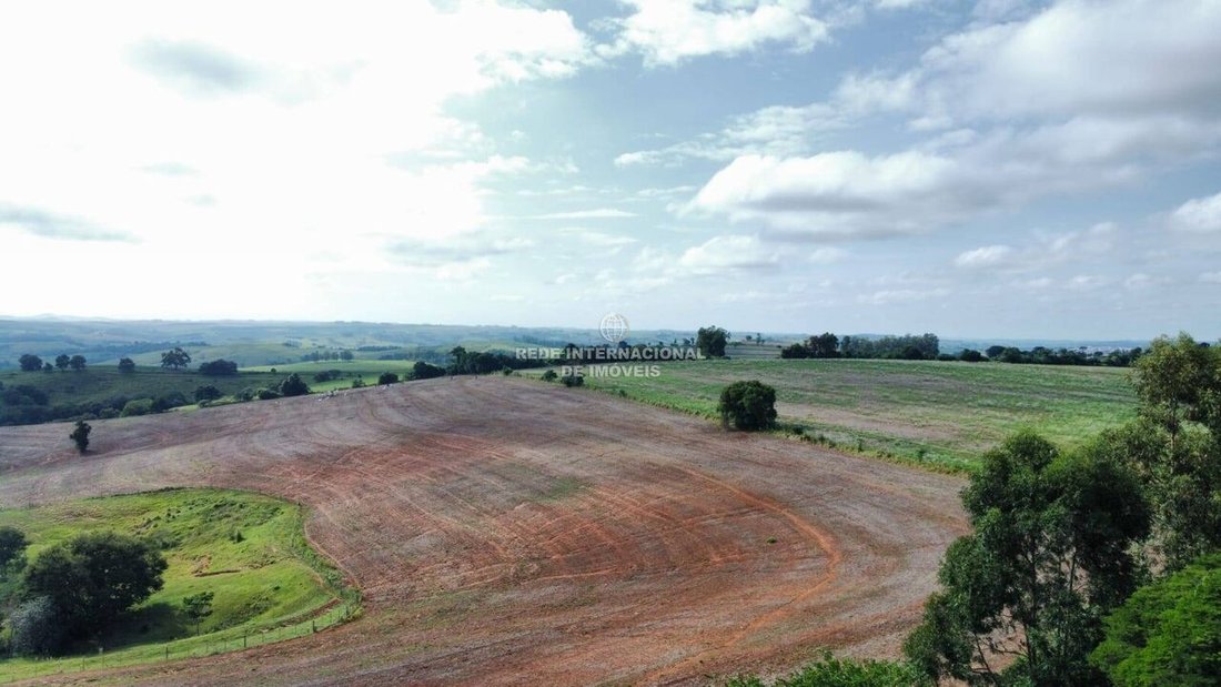 Farm Ranch in Rio de Janeiro, State of Rio de Janeiro, Brazil 2 - 16169227