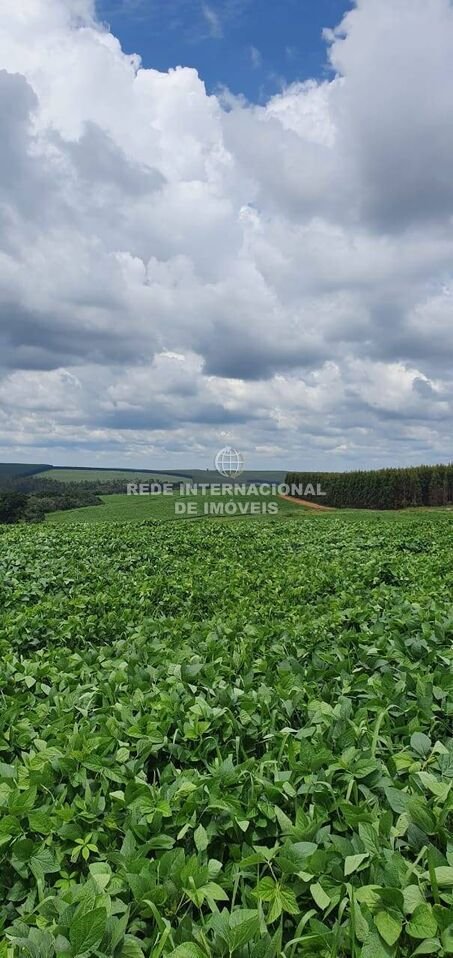 Farm Ranch in Rio de Janeiro, State of Rio de Janeiro, Brazil 4 - 16170098