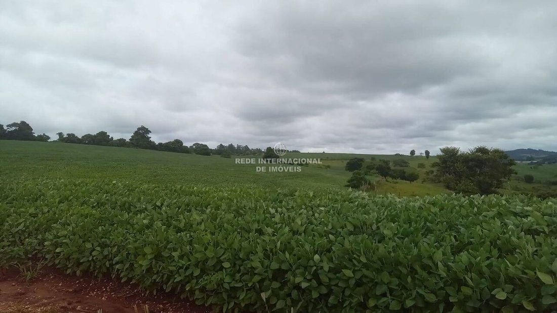 Farm Ranch in Rio de Janeiro, State of Rio de Janeiro, Brazil 5 - 16169227