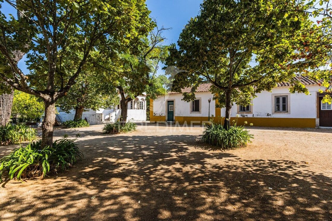Farm Ranch in Meia Via, Santarem District, Portugal 5 - 16122336